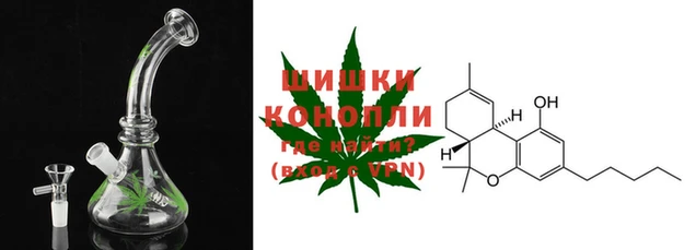 каннабис Ростов
